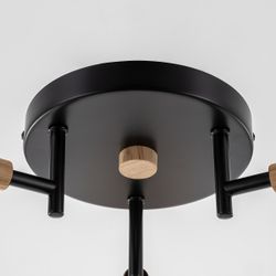 Citilux TIKA CL133131 Люстра поворотная Чёрная