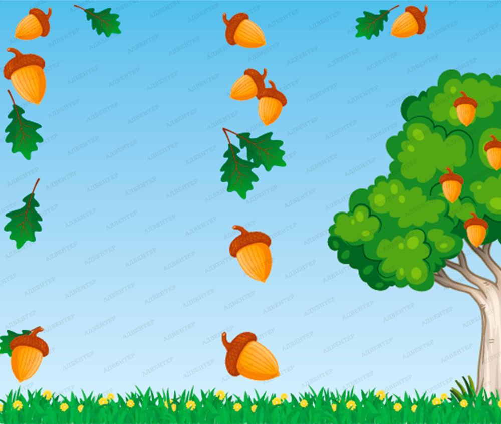 Фотообои для детского сада Жёлуди 100