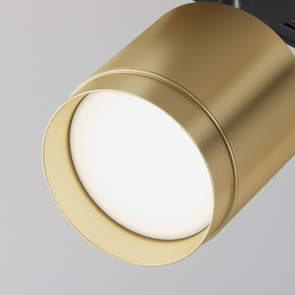 Трековый однофазный светильник Maytoni Polar TR088-1-GX53-MG