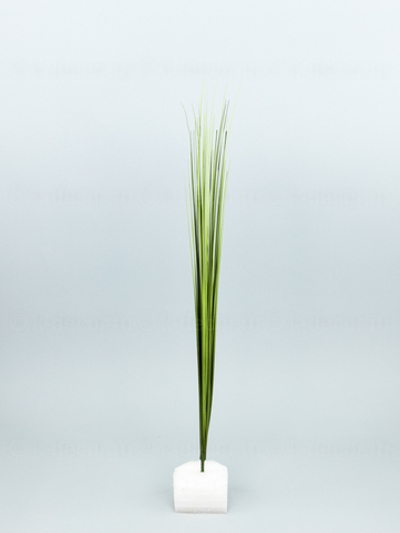 Осока БИГ 60см