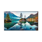 Панель для видеостены Vestel WU55B-2H