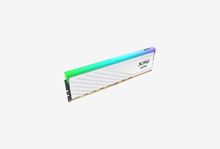 AX5U6000C4816G-DTLABRWH_0426606110123