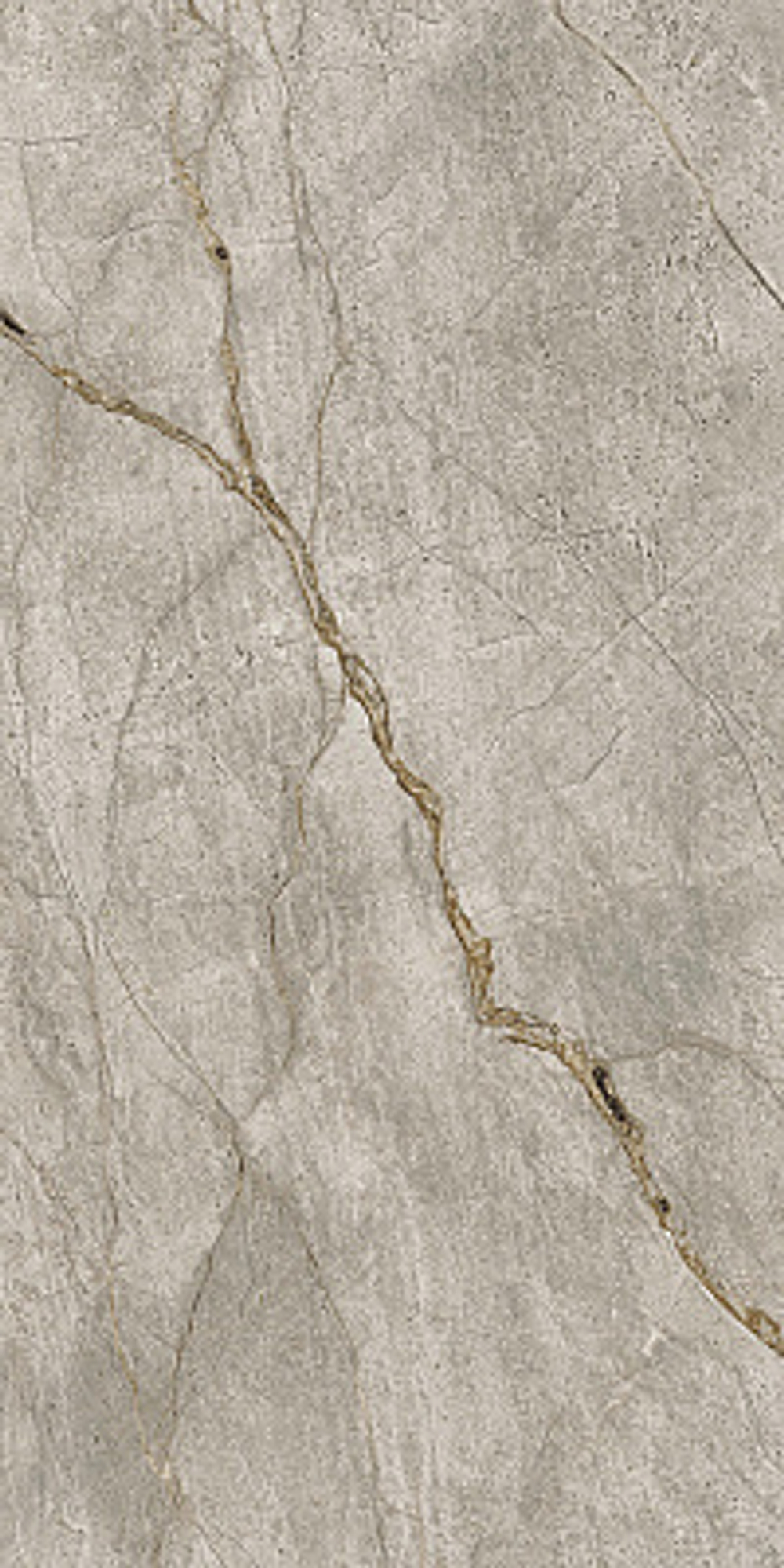 Керамогранит ATLAS CONCORDE RUSSIA Empire Silver Root Rett/Эмпаир Сильвер Рут Рет 60х120