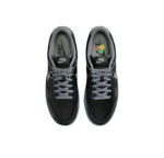 Кроссовки Nike Dunk Low 'Berlin' FZ3053-001