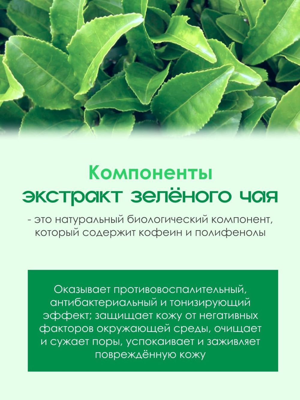 Ампульная сыворотка с центеллой азиатской и зеленым чаем, интенсивный уход за чувствительной кожей W.Skin Centella Calming Ampoule, 30мл
