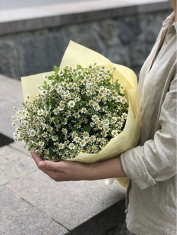 Букет ромашек