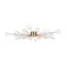 Потолочный светильник Знаменитость / Celebrity Freya fr5242cl-24bs1