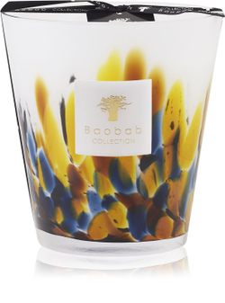 Baobab Collection Rainforest Mayumbe - ароматическая свеча /  16 cm   / GTIN 5415198487123