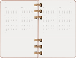 Еженедельник Moleskine SPIRAL (DHSPP2912MWH3) 130х210мм, цвет кофейный