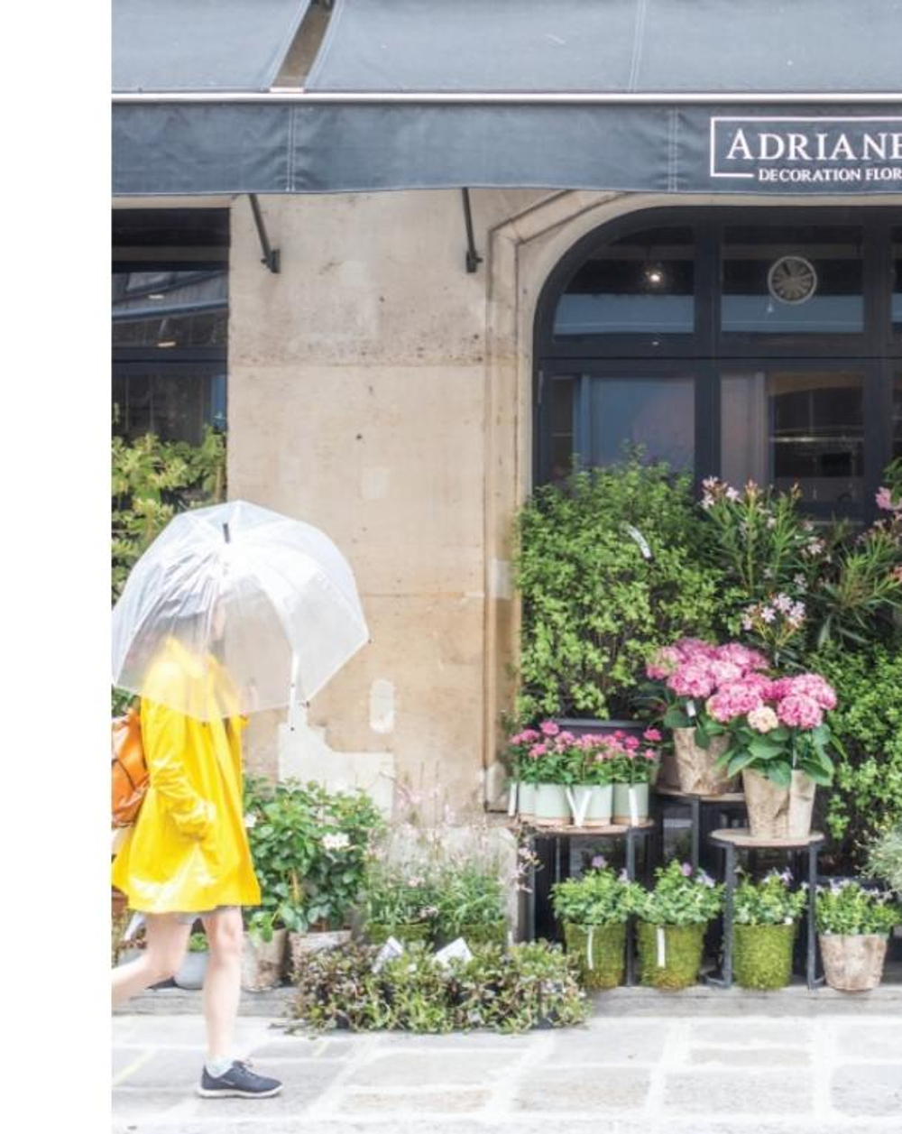 French Blooms: Floral Arrangements Inspired by Paris and Beyond