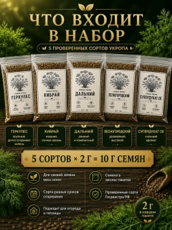 Набор семян укропа СССР 5 проверенных сортов