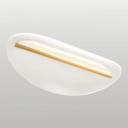 Накладной светильник Lussole Lampasas LSP-7422