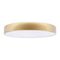 Потолочный светодиодный светильник Loft IT Flims 10228/A