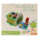 Развивающая игрушка деревянная 3 ячейки, коробка C-41663