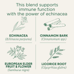 Traditional Medicinals, Organic Immune Zoom, Elderberry Echinacea, Caffeine Free, 16 Wrapped Tea Bags, 0.99 oz (28 g)