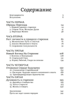 Нестареющая душа. Путь к смыслу и радости длиною в жизнь (PDF)