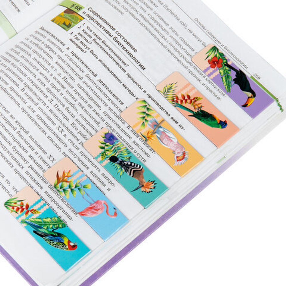 Закладки для книг МАГНИТНЫЕ, "TROPICS", набор 12 шт., 60x20 мм, BRAUBERG