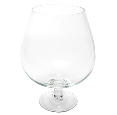 Аквариум-бокал "Неман", 10л