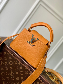 Louis Vuitton Capucines Mini