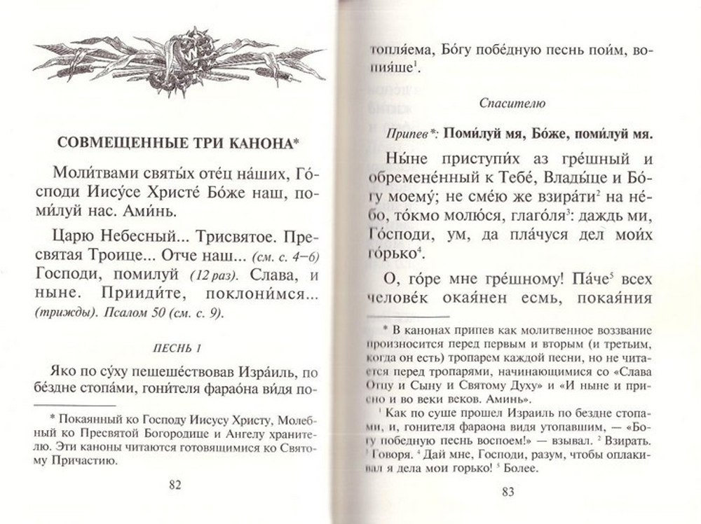 Молитвослов толковый с текстами Литургии и Всенощного бдения с магнитным клапаном (флок)