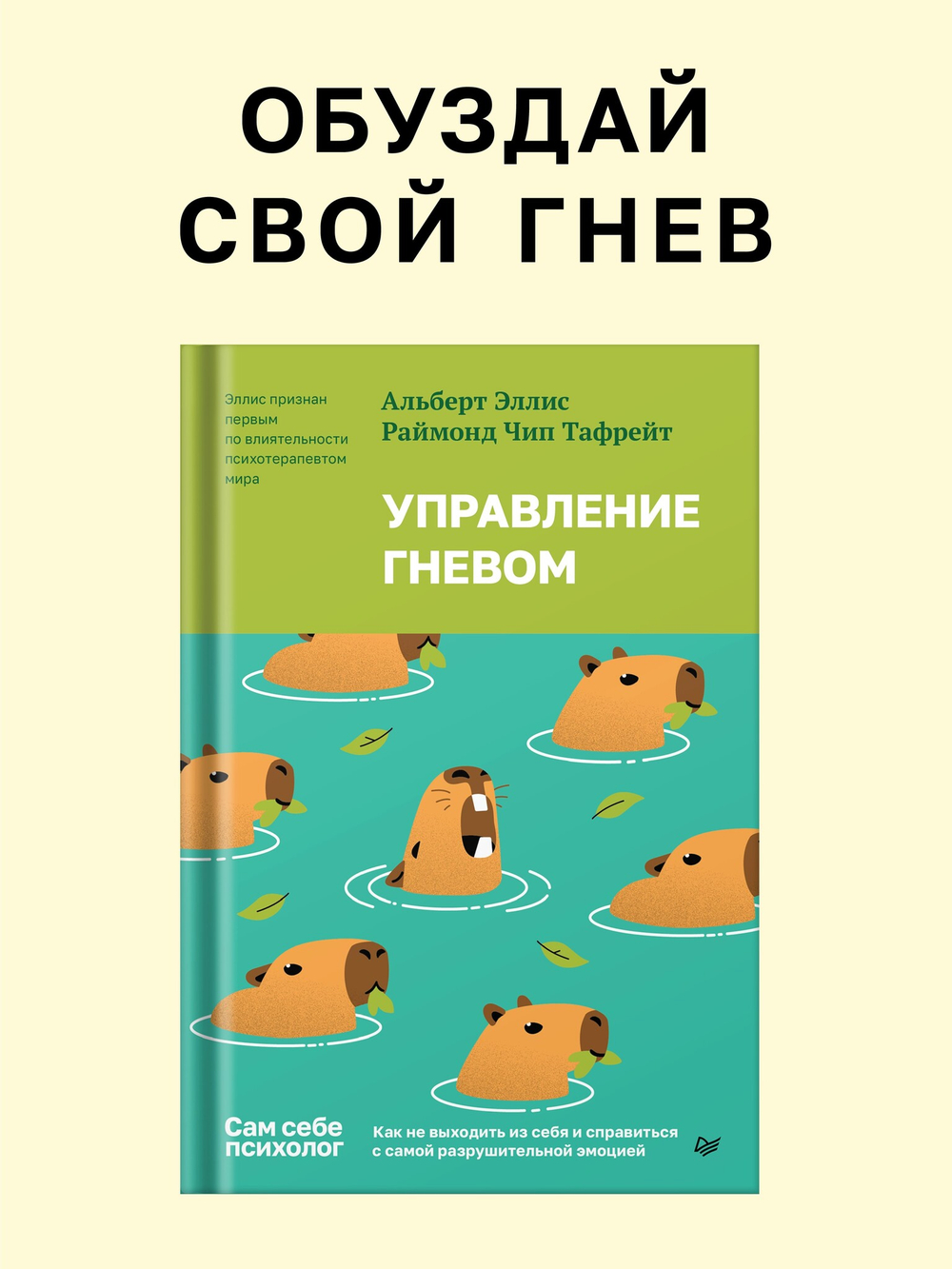 Управление гневом. Как не выходить из себя и справиться с самой разрушительной эмоцией
