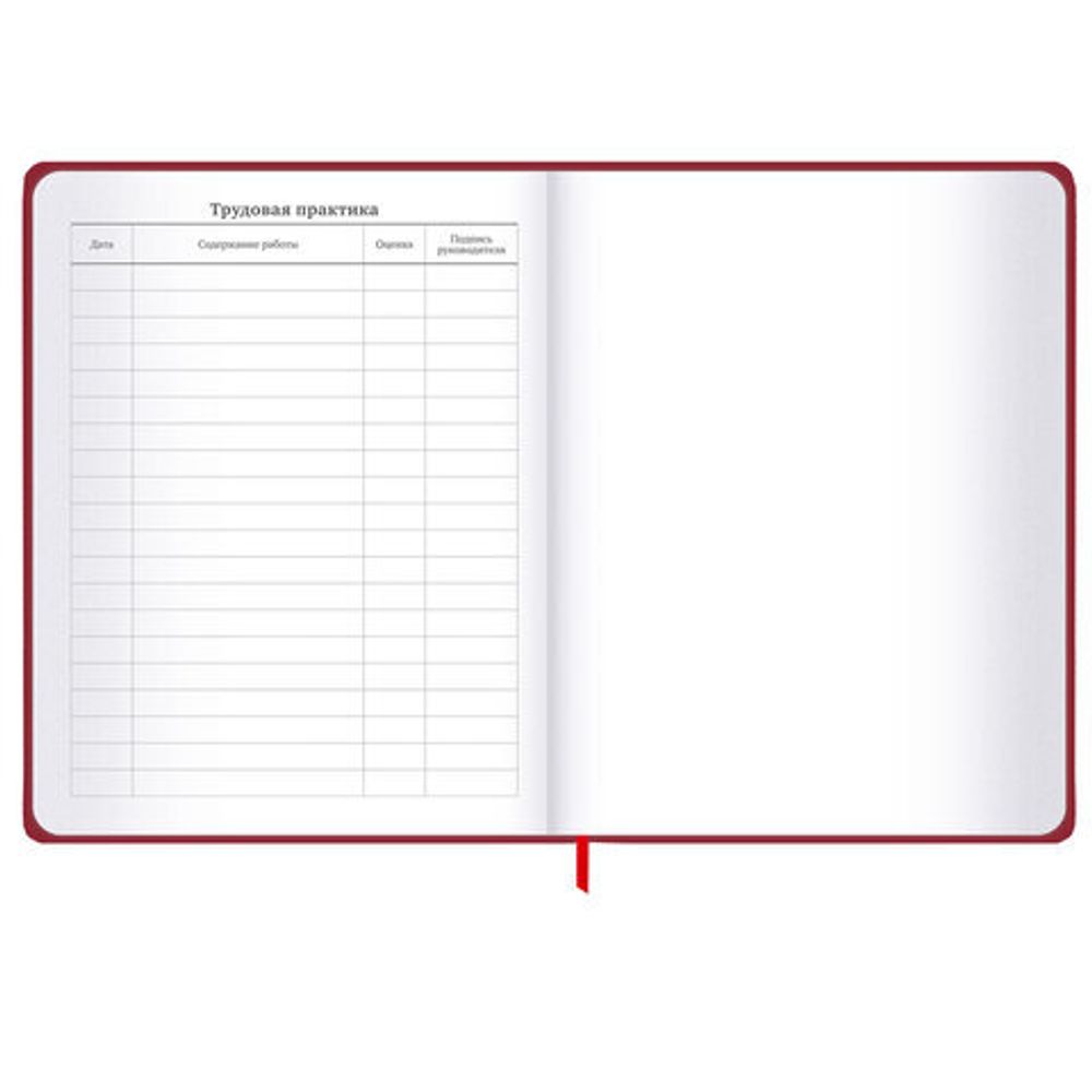 Дневник 1-11 класс 48 л., твердый, BRAUBERG, матовая ламинация, резинка, закладка-ляссе, с подсказом, "Мото", 107236