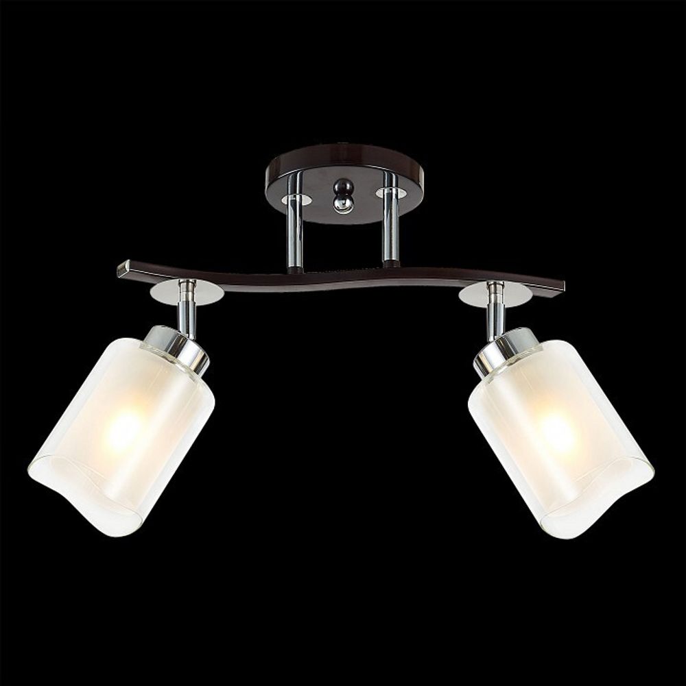 Спот Citilux Фортуна CL156122