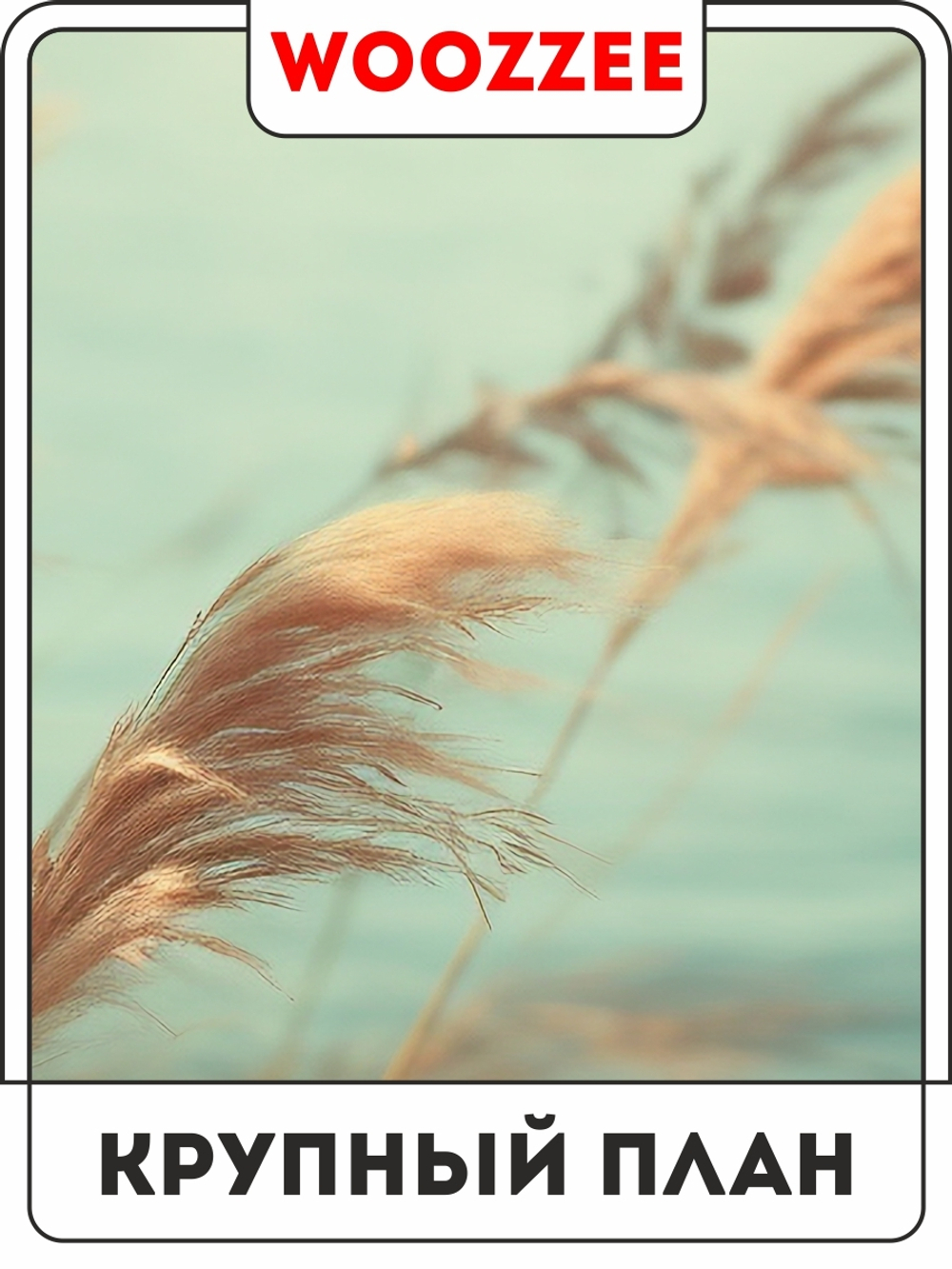 Набор постеров "Созерцание у воды" 3 шт.