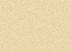 Искусственная кожа Best (Бест) 72