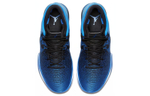 Кроссовки Jordan Air Jordan 31 Royal