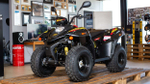Квадроцикл STELS ATV 110A Hugo