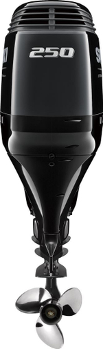 Лодочный мотор Suzuki DF250APX