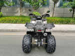 Квадроцикл MOTAX ATV Grizlik T200 LUX