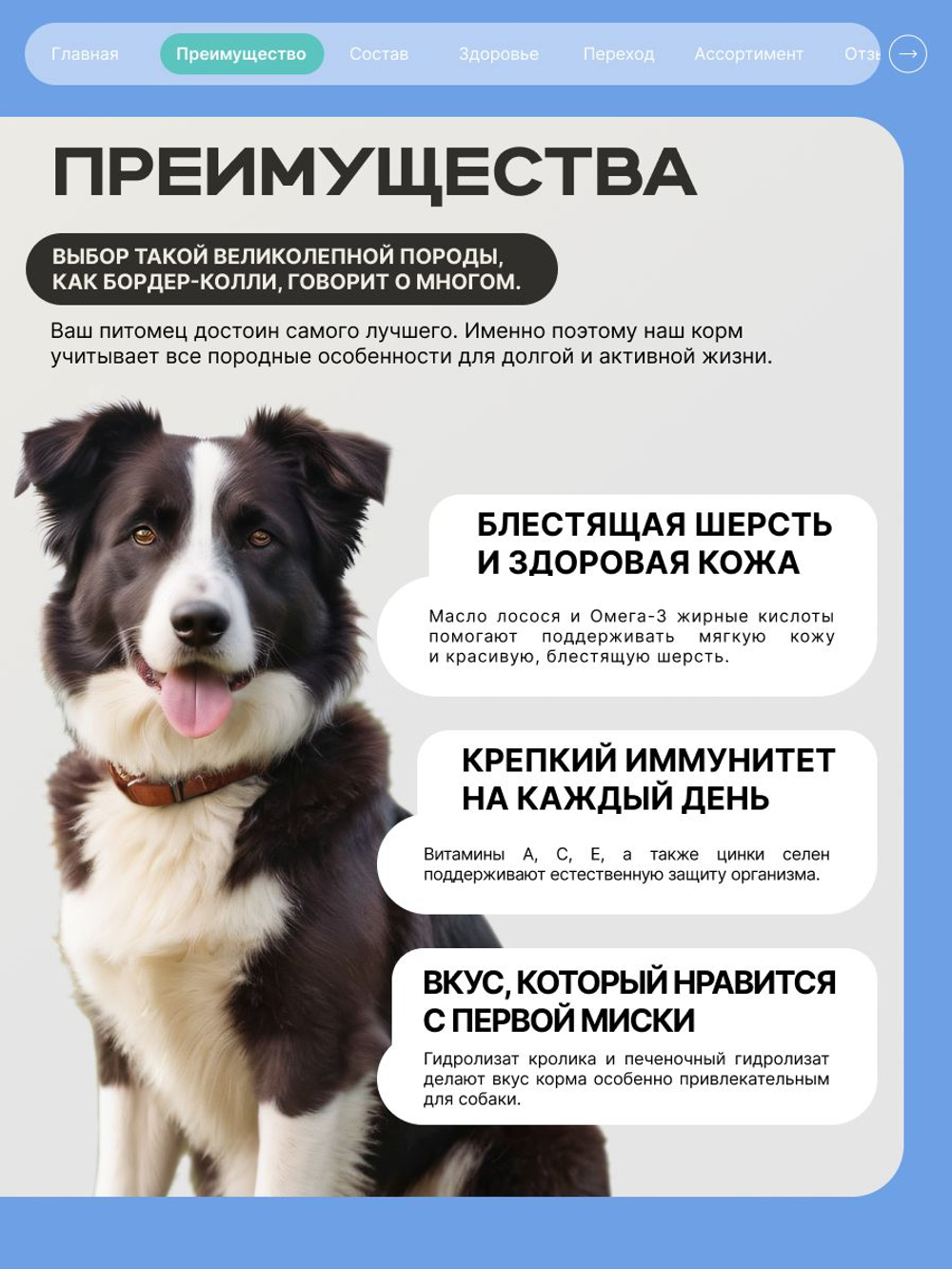 Корм для взрослых собак породы Бордер-колли, с кроликом, 3 кг, QUATTRO