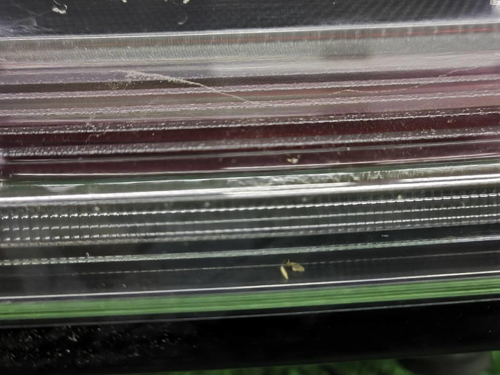 Фонарь левый внешний Porsche Macan 95b (2018-н.в.)