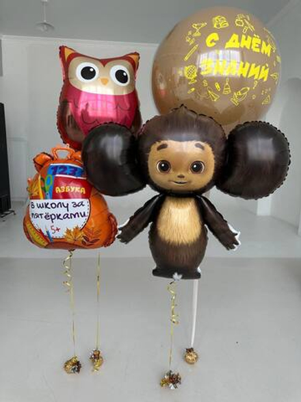 Набор шаров "Первая линейка"