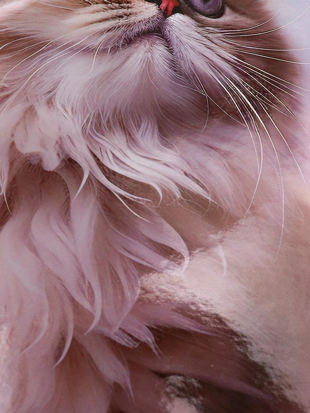 Дневник школьный 48л. 1-4 классы "Нежный котик" (Проф-Пресс)