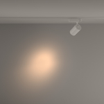 Трехфазный трековый светодиодный светильник Maytoni Vuoro TR029-3-20W3K-S-W