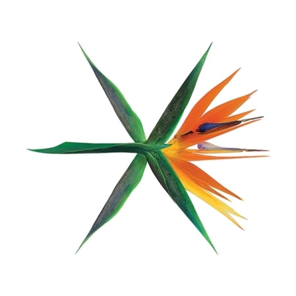 Альбом EXO - The War 4th Album KOREAN RANDOM Version