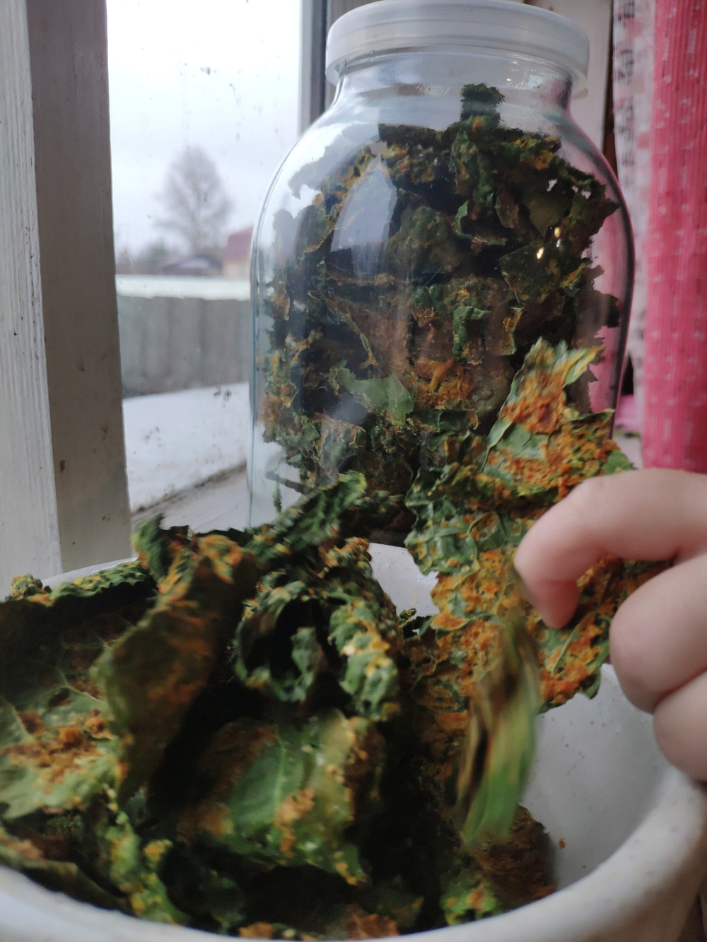 Чипсы из кейла