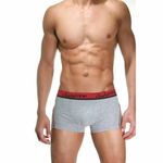 Трусы мужские боксеры серые DARKZONE DZN3103