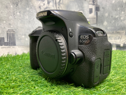 Canon EOS 650D (230.000 кадров)