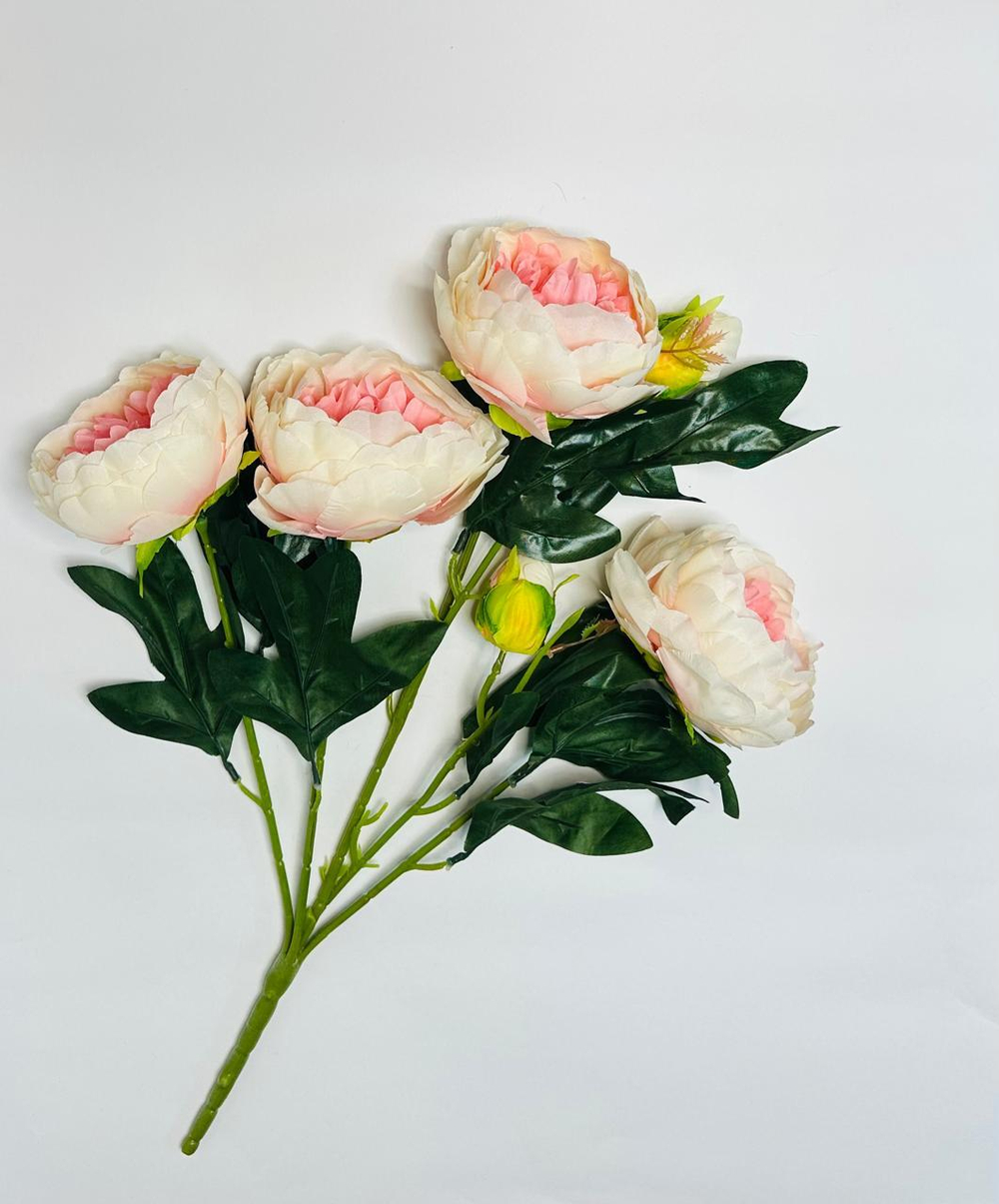 Пионы букет