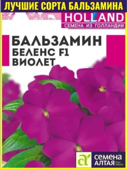 Семена Бальзамин Беленс Виолет
