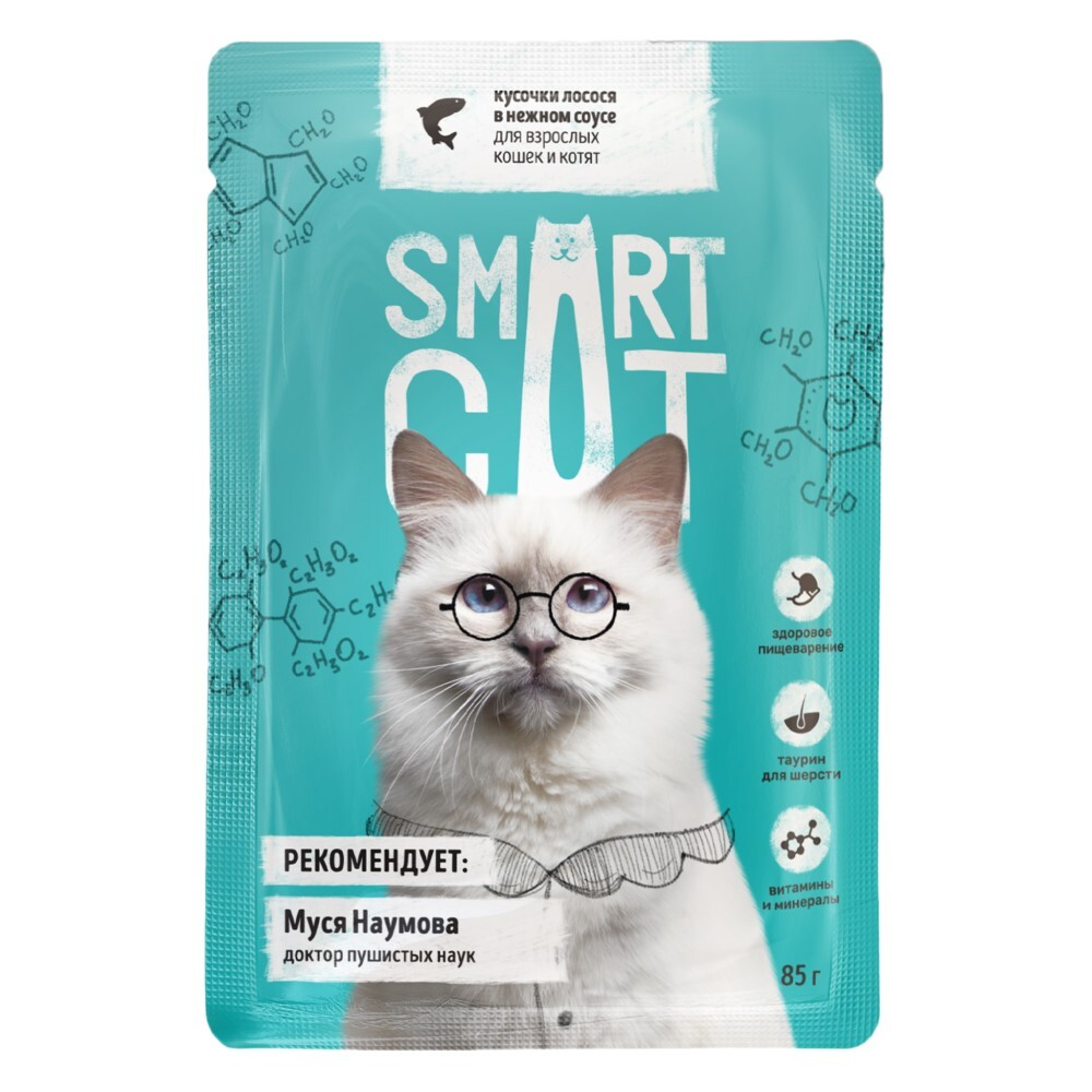 Smart Cat 85 г - консервы (пауч) для кошек и котят с лососем (кусочки в соусе)