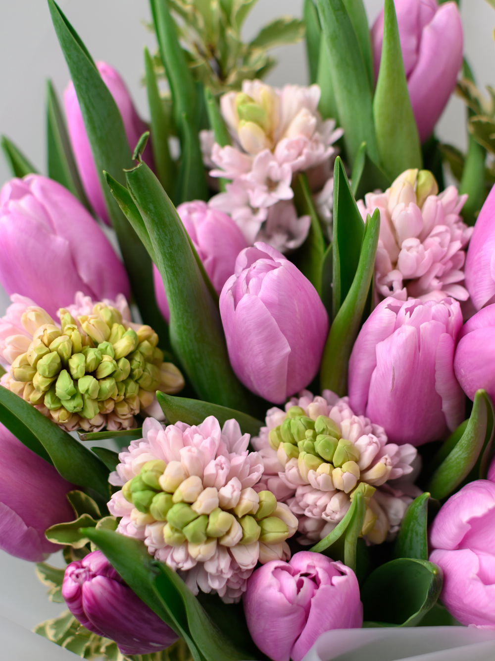 Дуо букет Гиацинты и Тюльпаны