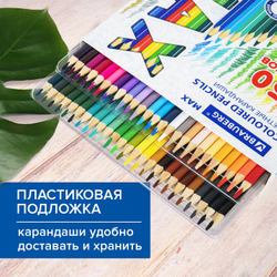 Карандаши цветные супермягкие яркие трехгранные BRAUBERG MAX, 50 цветов, грифель мягкий 3,3 мм, 181860