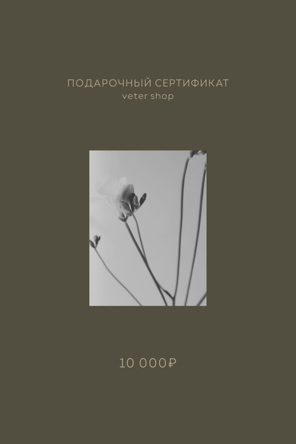 Подарочный сертификат на 10,000 рублей