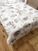 Филин Плед велсофт 100*140, Аделис Арт. pled00942