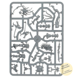 (2in1) Arch-Kavalos Zandtos / Liege Kavalos